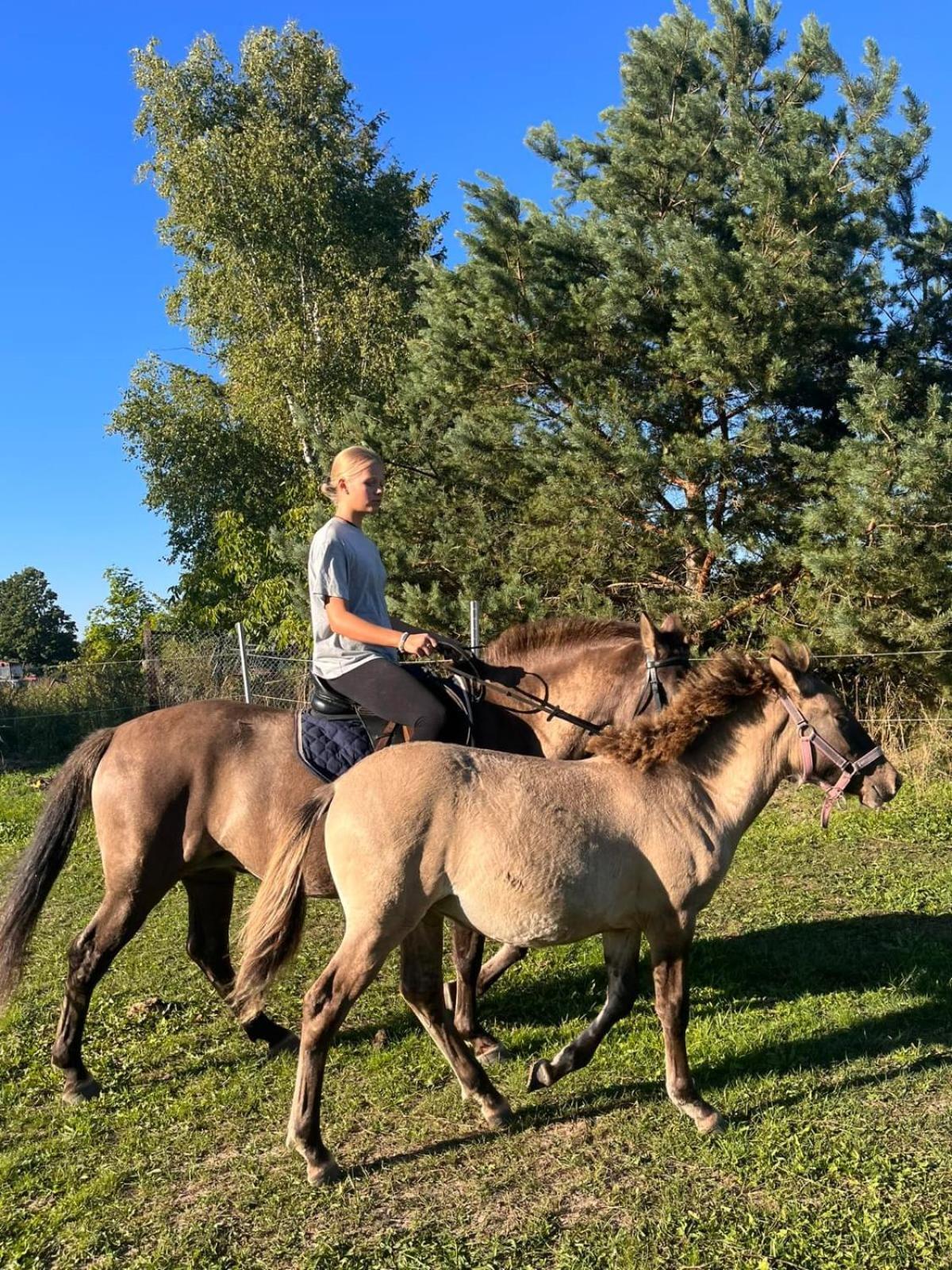 Komblowka Marcinowa Wola Eksteriør billede